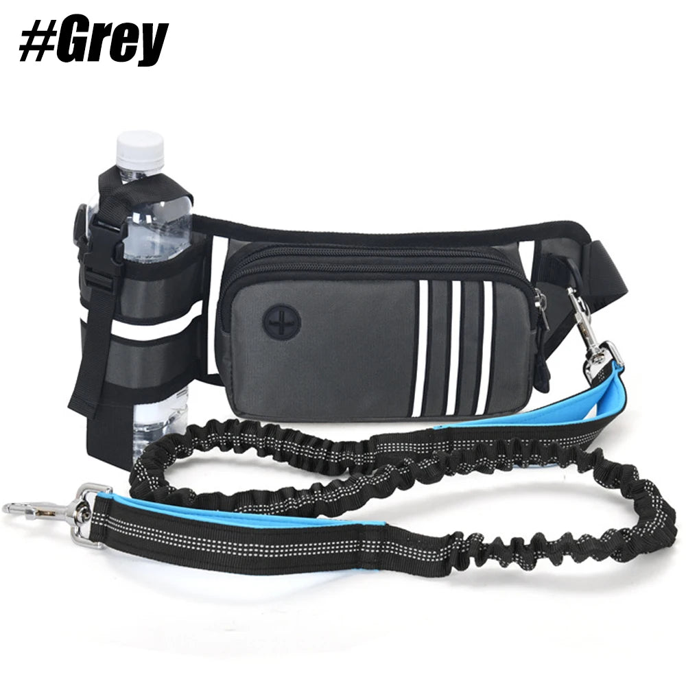 Hands-Free Dog Leash & Waist Bag - MadV Designs