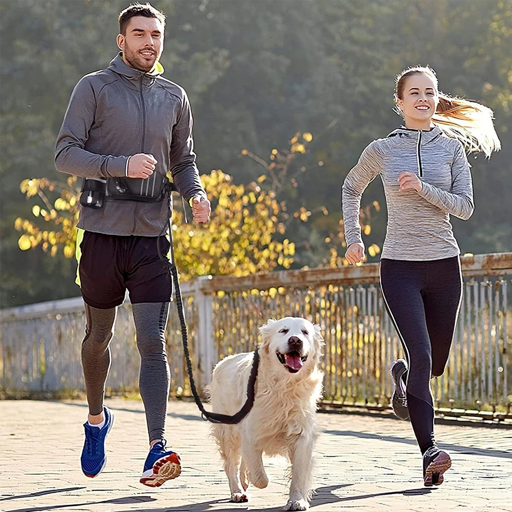 Hands-Free Dog Leash & Waist Bag - MadV Designs