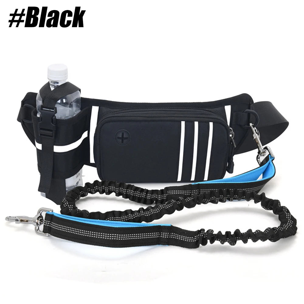 Hands-Free Dog Leash & Waist Bag - MadV Designs
